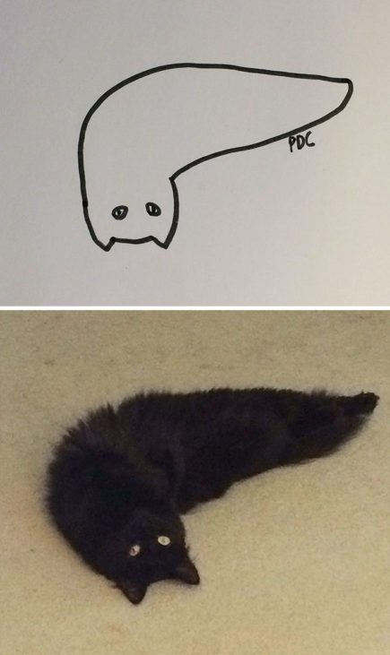 When Your Teacher Keeps Saying You Can't Draw Cats, But Your Drawings