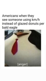 dark meme about the americans