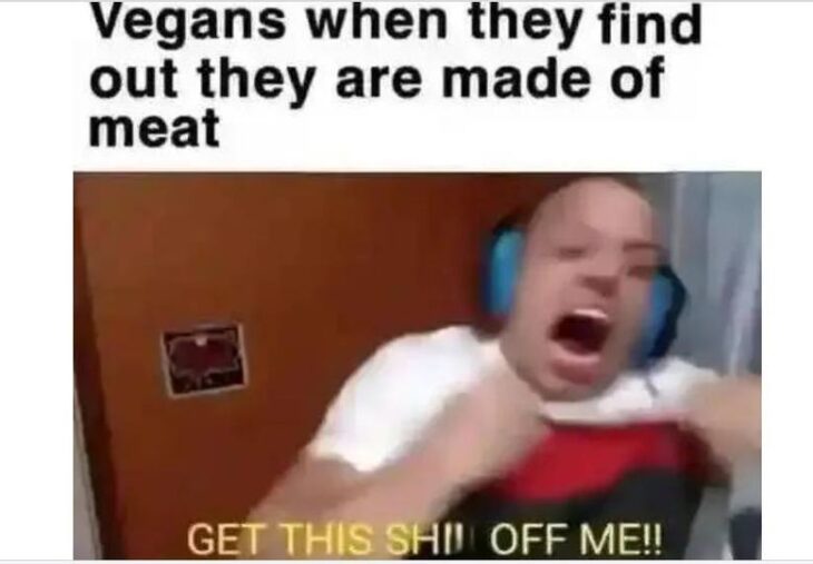 dark meme about vegans