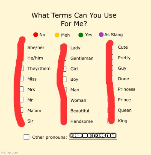 pronouns meme