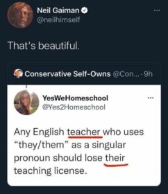 funny pronouns for a teacher