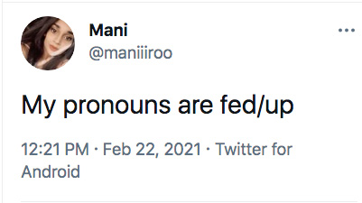 funny pronouns pun