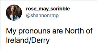 funny pronoun