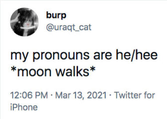 funny pronouns tweet