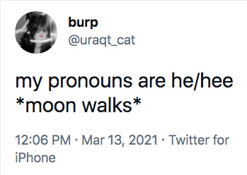 funny pronouns tweet