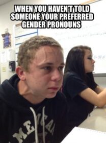 funnies pronouns meme